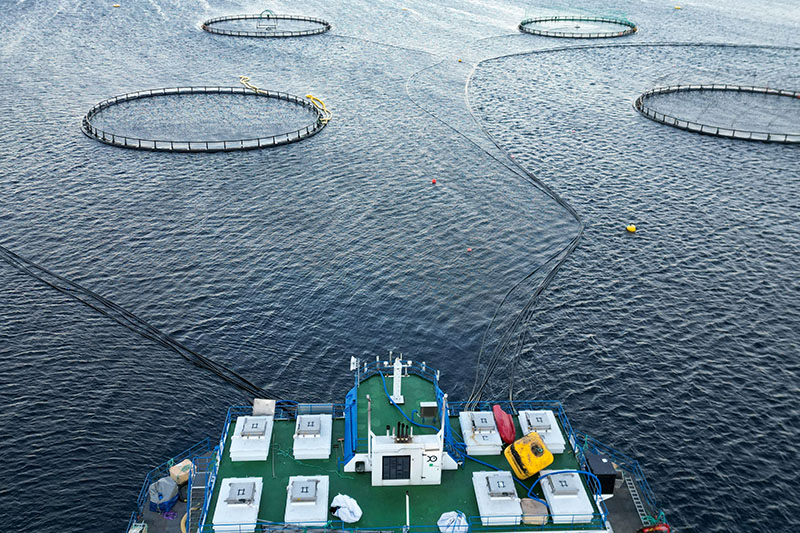 Emilsen lokasjon12022022_006